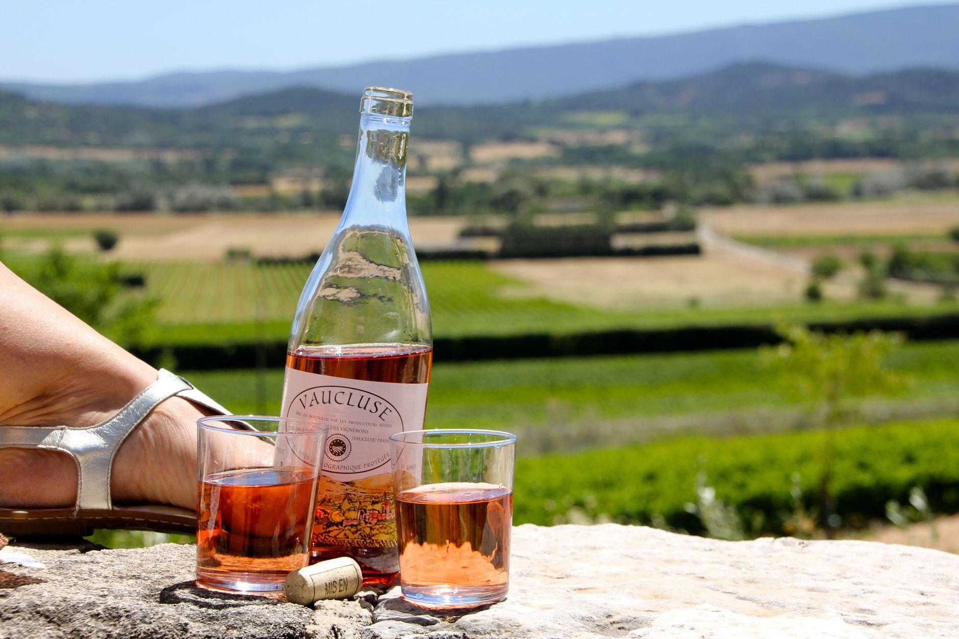 Dégustation de vin en Provence