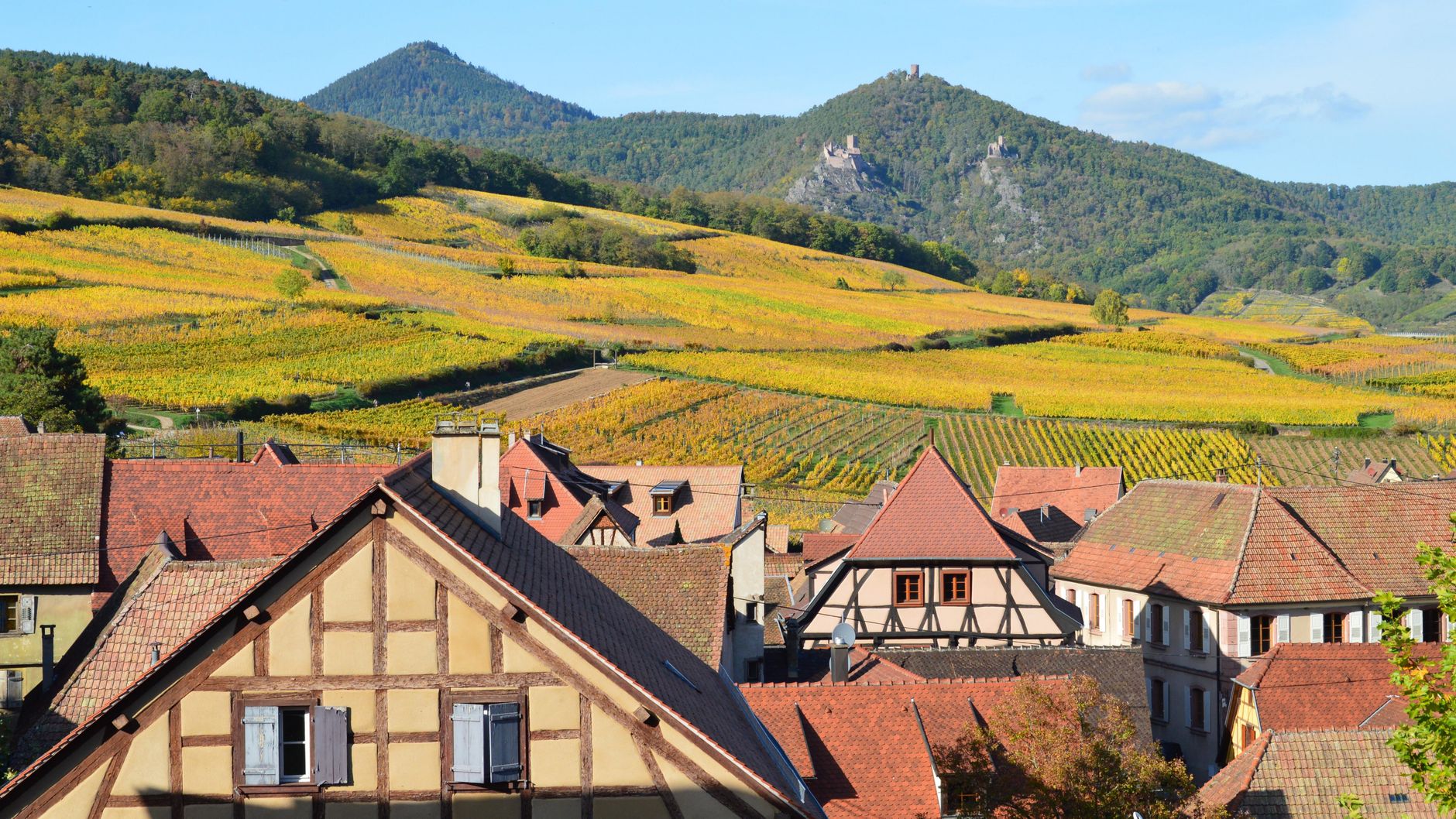 Château français et vignobles