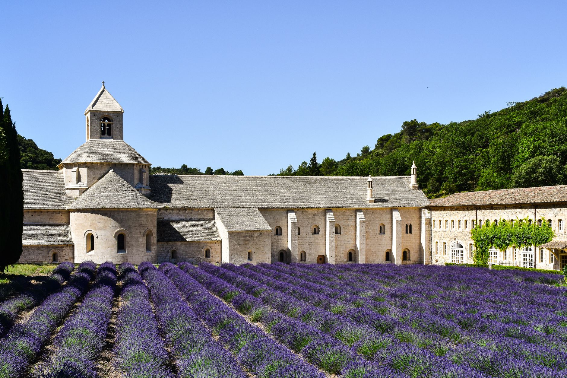 Vignobles de Provence et grands crus